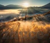 欧洲足球赛比分-欧洲足球赛比分，绿茵场上的数字交响曲