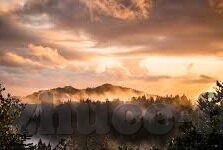 五人足球 比分结果-五人足球激战正酣，赛场风云与比分结果的深度剖析